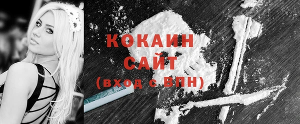 стафф Гусев