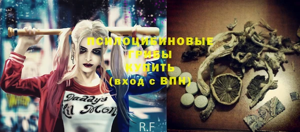 дживик Володарск
