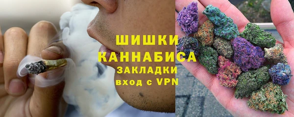 дживик Володарск