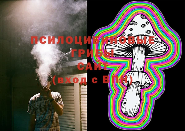 PSILOCYBIN Горнозаводск