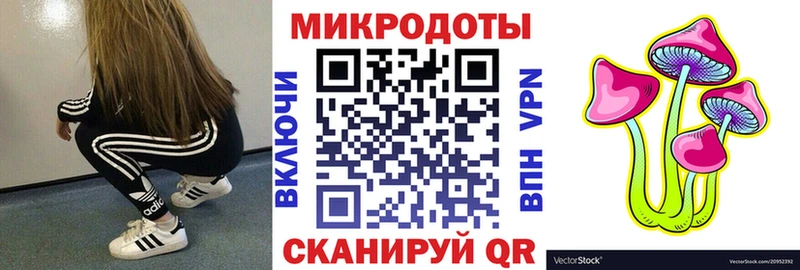 закладка  Дорогобуж  Галлюциногенные грибы Cubensis 